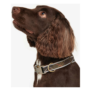 Barbour - Tartan Yansıtıcı Köpek Tasması | Koyu kahverengi