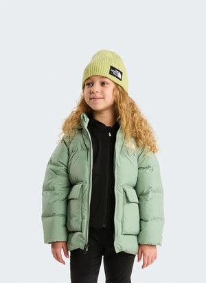 The North Face - North Down Jacket | لون الأخضر اللوزي