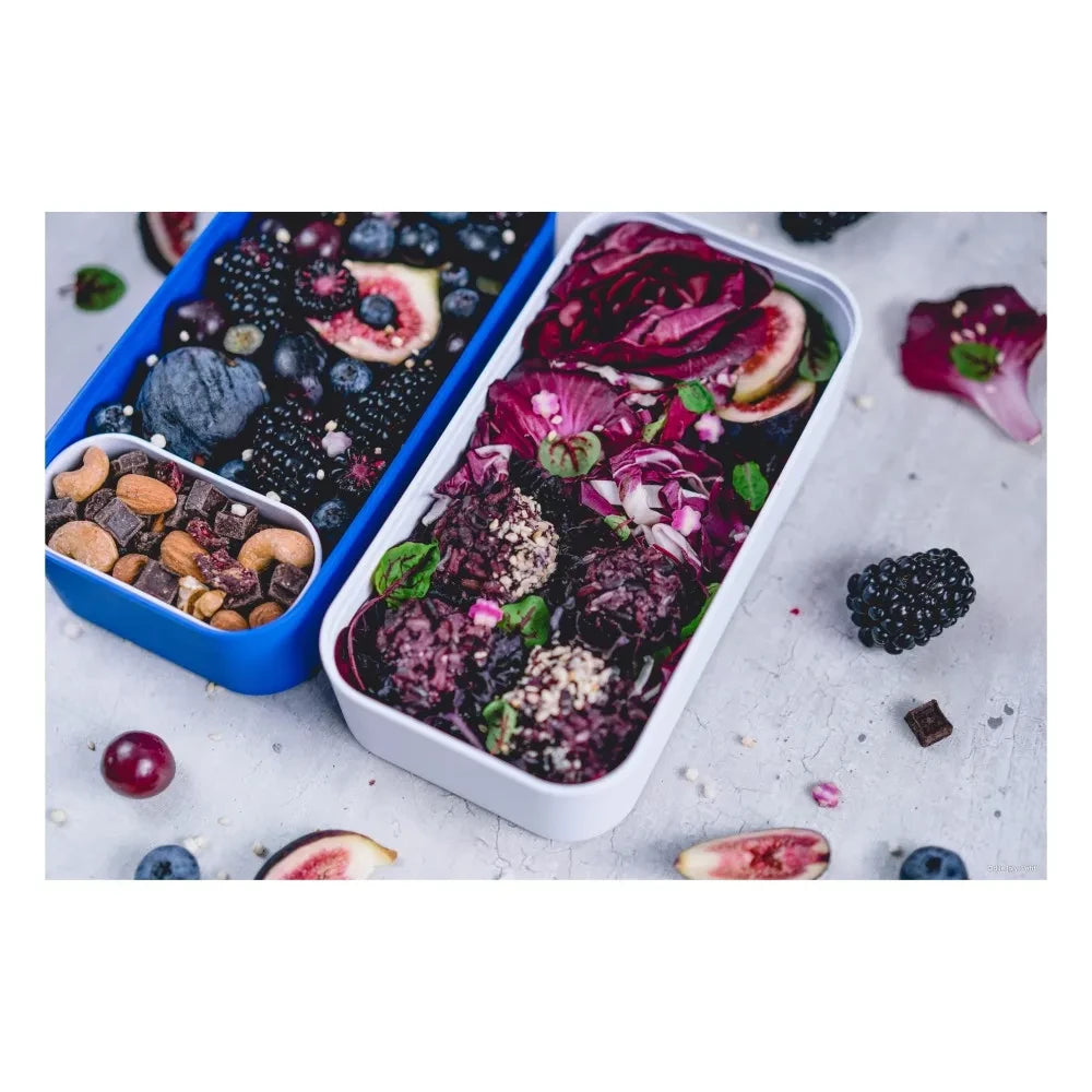 Monbento - MB Orijinal Bento, 2 Hava Geçirmez Bölmeli | Siyah