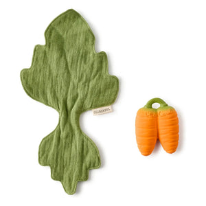 Oli & Carol - Diş kaşıyıcı oyuncak Cathy the carrot