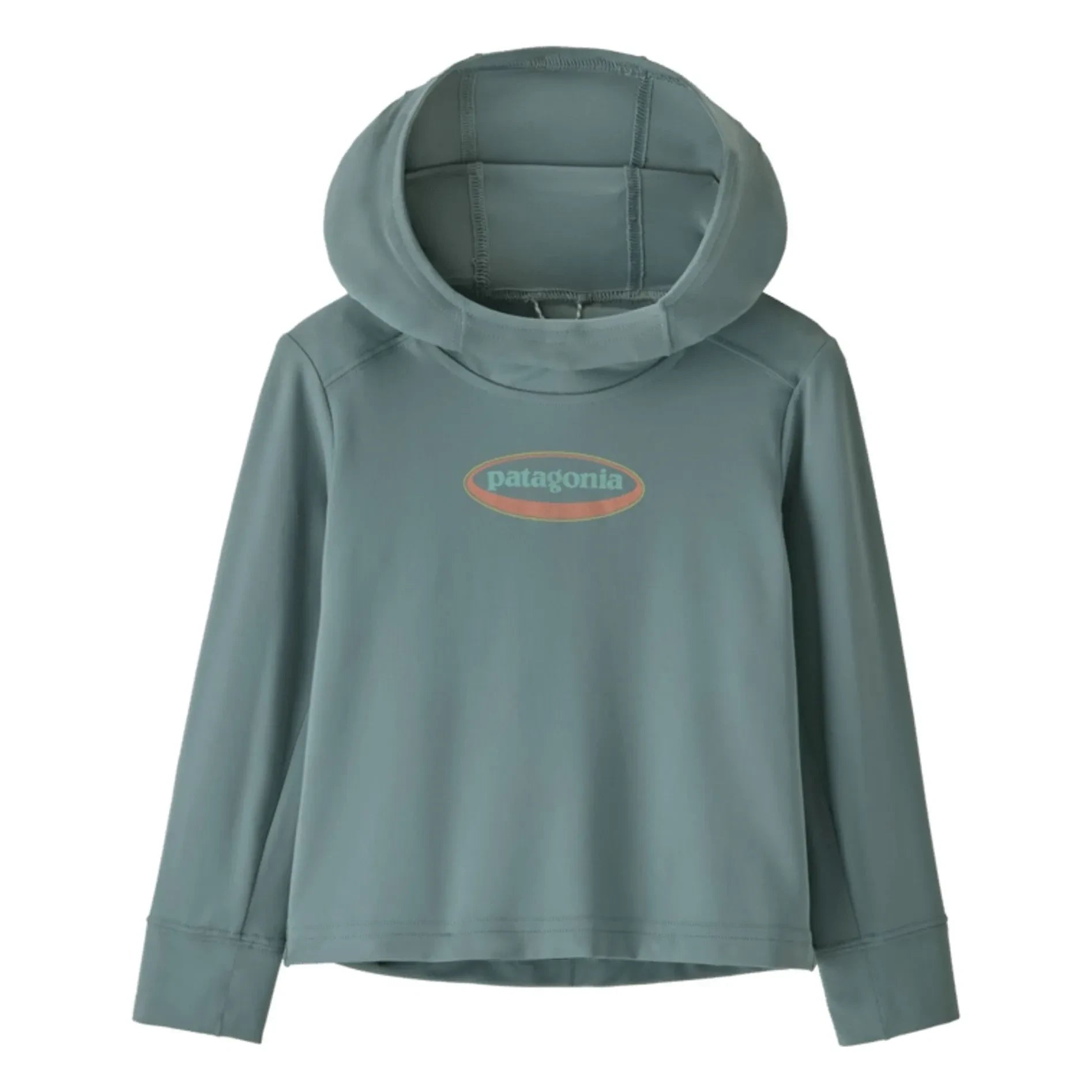 Patagonia - Kapüşonlu Sweatshirt SW 95 Oval Logo Geri Dönüştürülmüş Lifler | Gri mavi