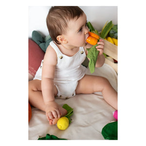 Oli & Carol - Diş kaşıyıcı oyuncak Cathy the carrot