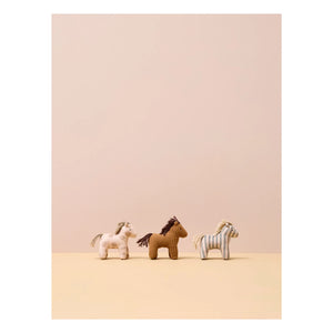 Kid's Concept - Atlarla istikrarlı