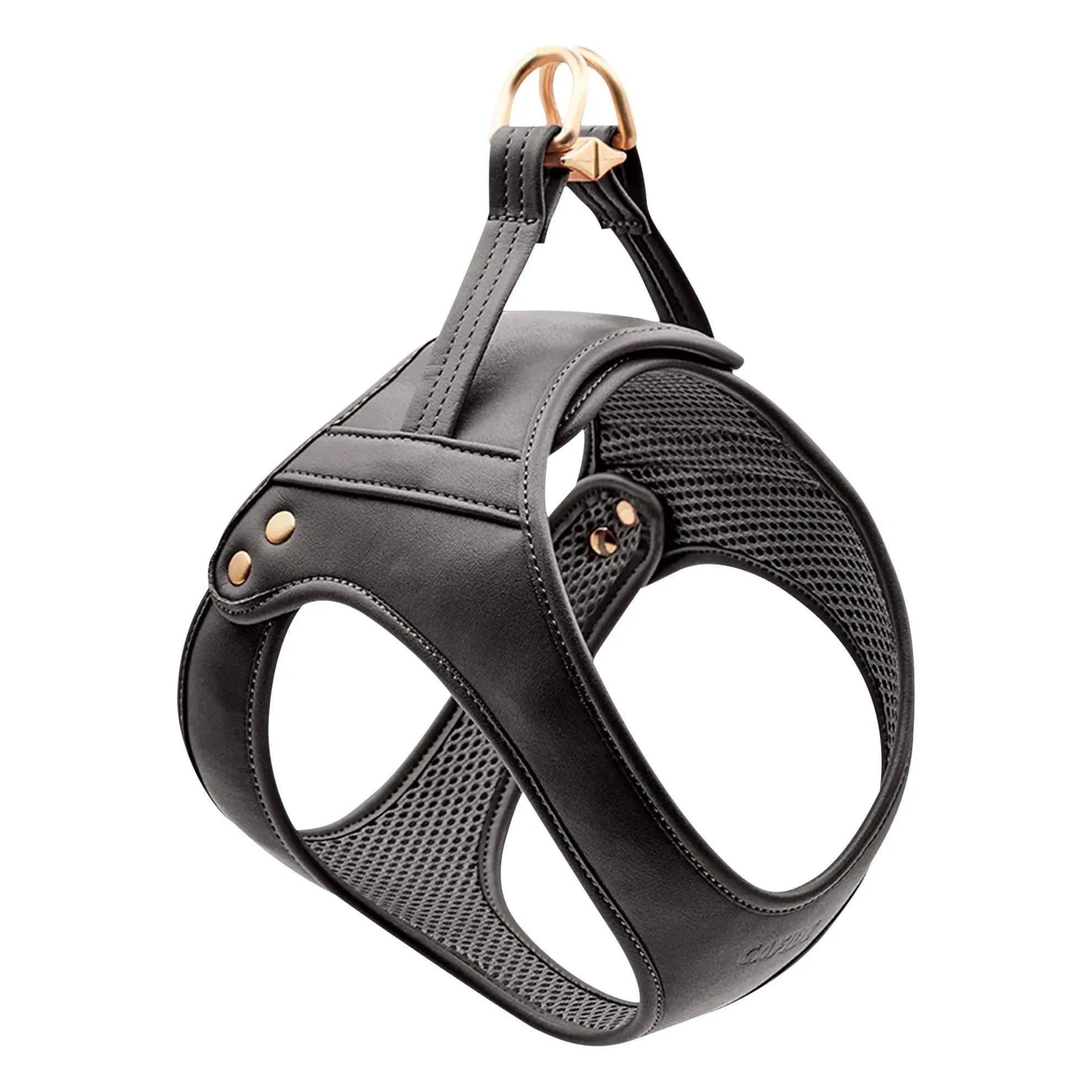 Cafide - Vegan deri köpek tasması | Siyah