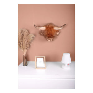 Wild & Soft - İskoç İnek Kupası