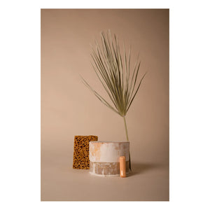Schneid Studio - Seramik Askı Kancası | Mercan