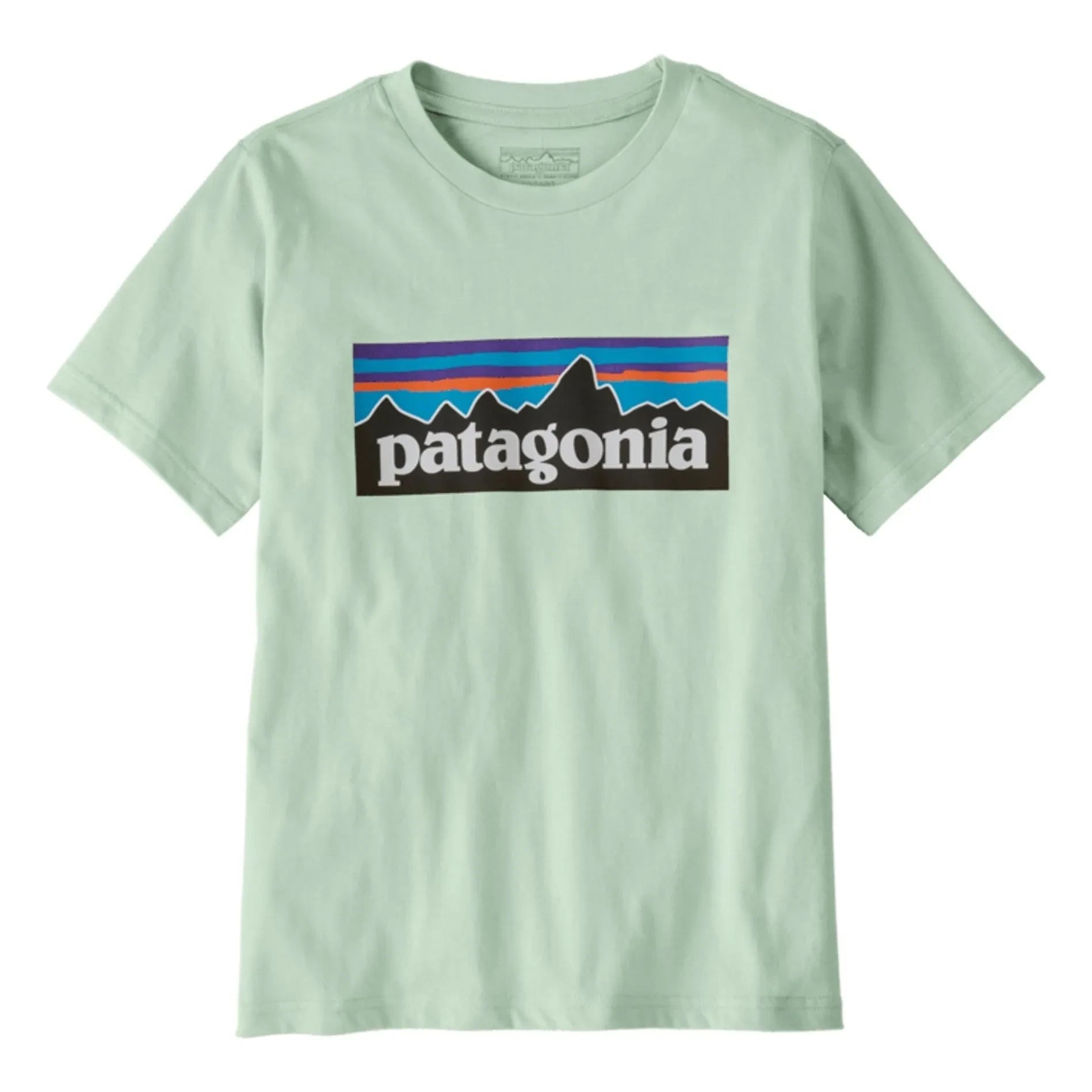 Patagonia - Logo Tişört Organik pamuk | Açık mavi