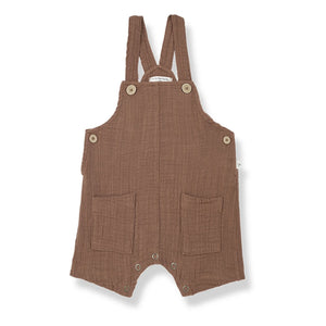 1+ in the family - Giulio tulum | Çikolata
