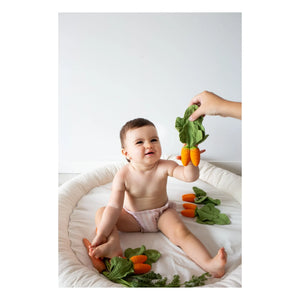 Oli & Carol - Diş kaşıyıcı oyuncak Cathy the carrot