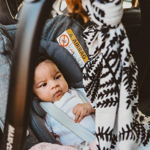 Etta Loves XL Muslin - Fern-Muslin Wraps-Fern- | Natural Baby Shower