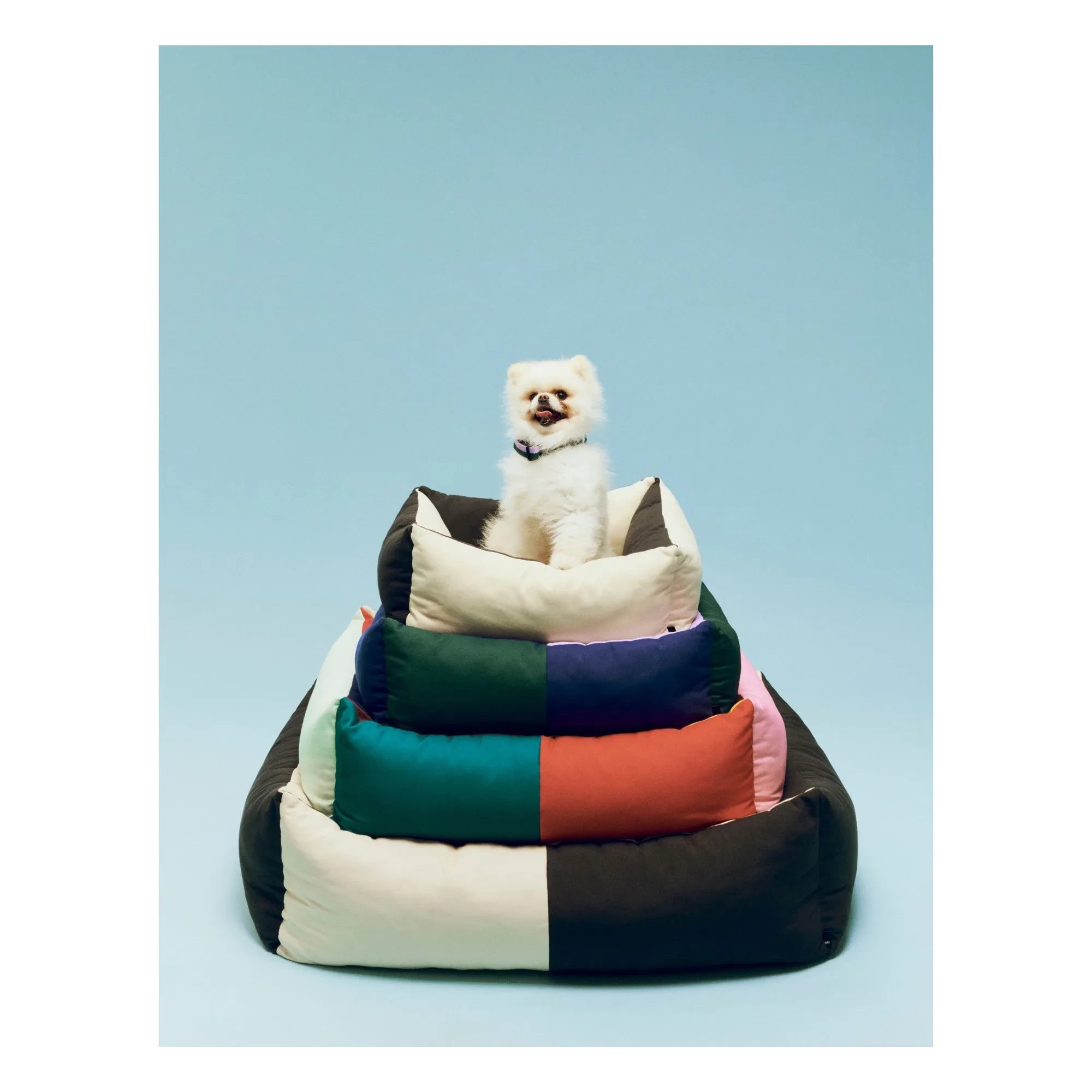 Hay - Köpek yatağı | Yeşil
