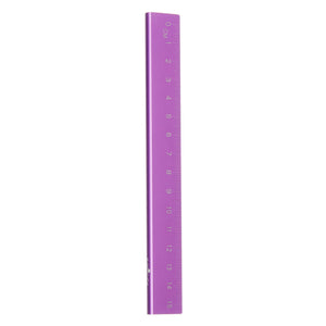 Smiggle - Metalik Cetvel 15Cm
