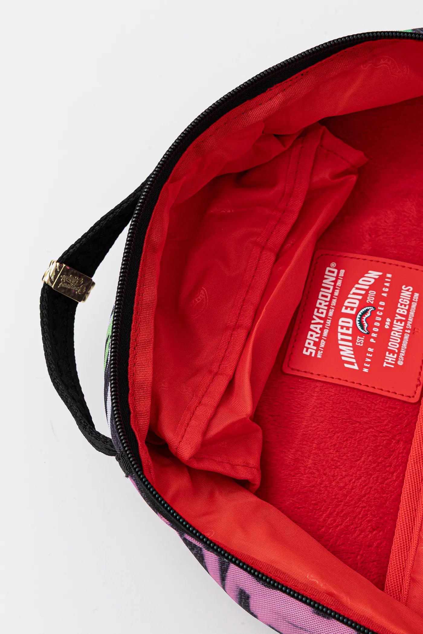 Sprayground - حقيبة ظهر Painted Punk Dlxr