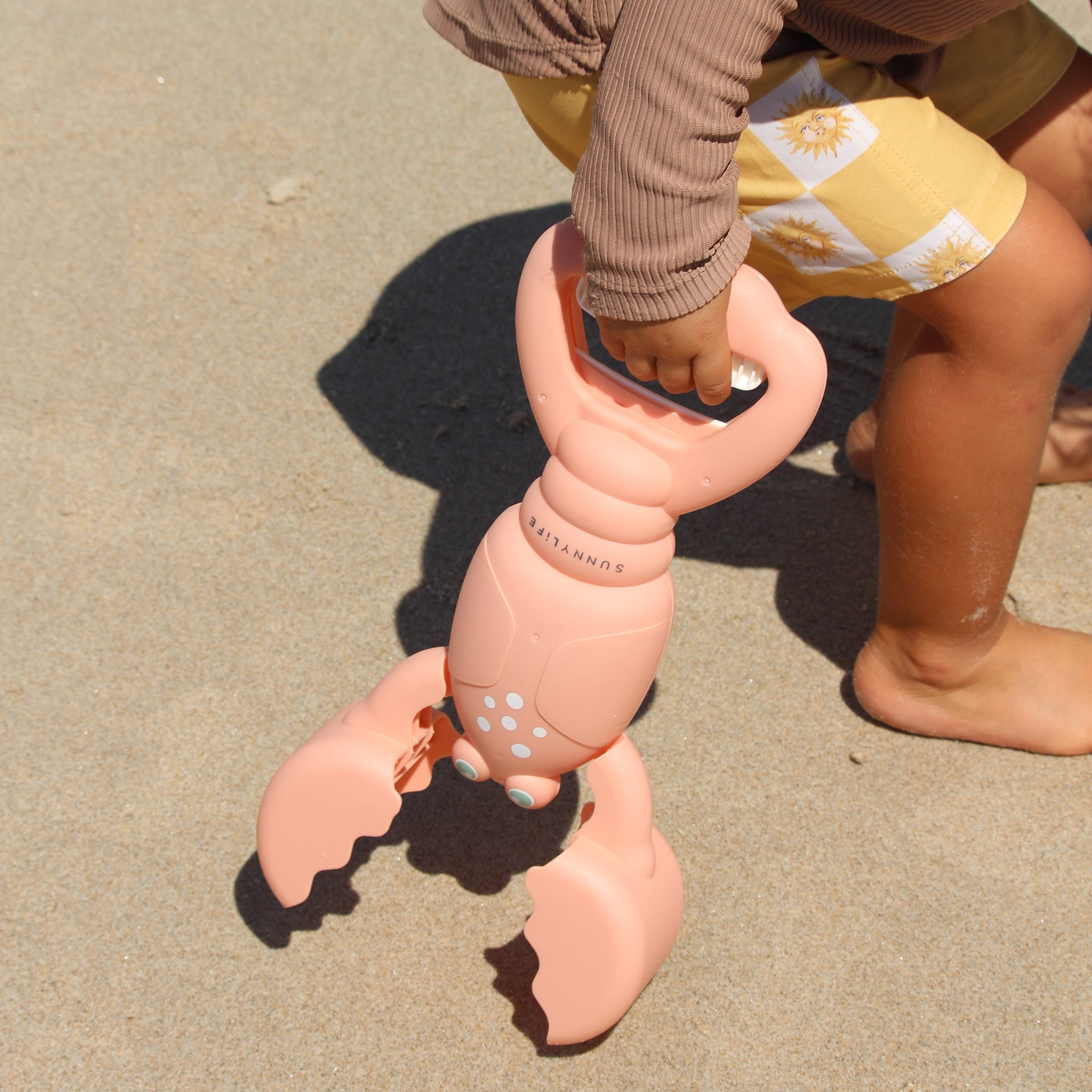 صني لايف - لعبة جمع رمال الكورال لوبستر