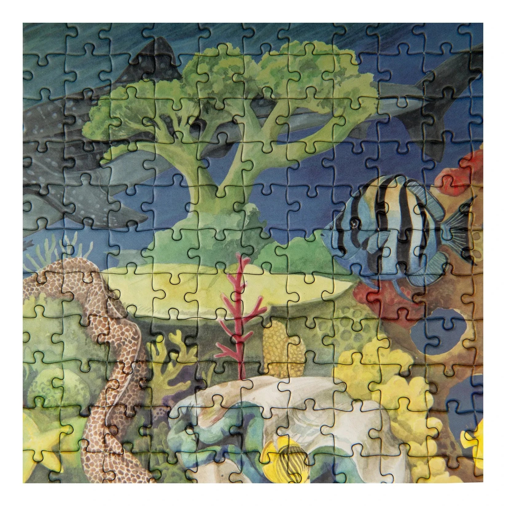 Moulin Roty - "The Coral Reef" Yapbozu - Dünyanın Etrafında
