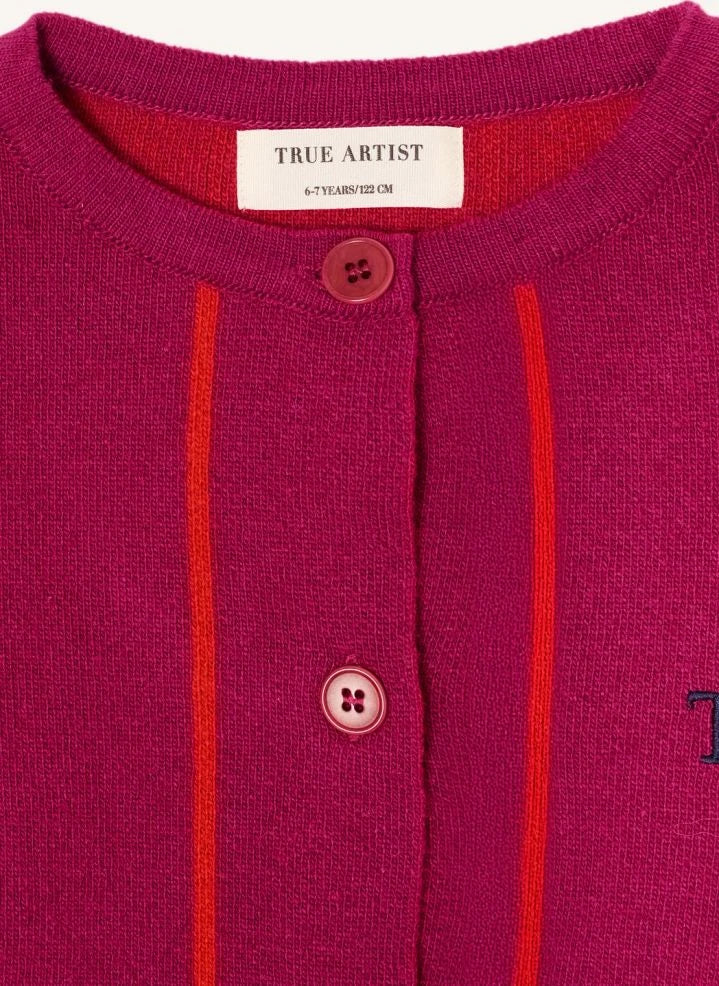 True Artist - Ex Libris Çizgili Yün Yelek | Bordo