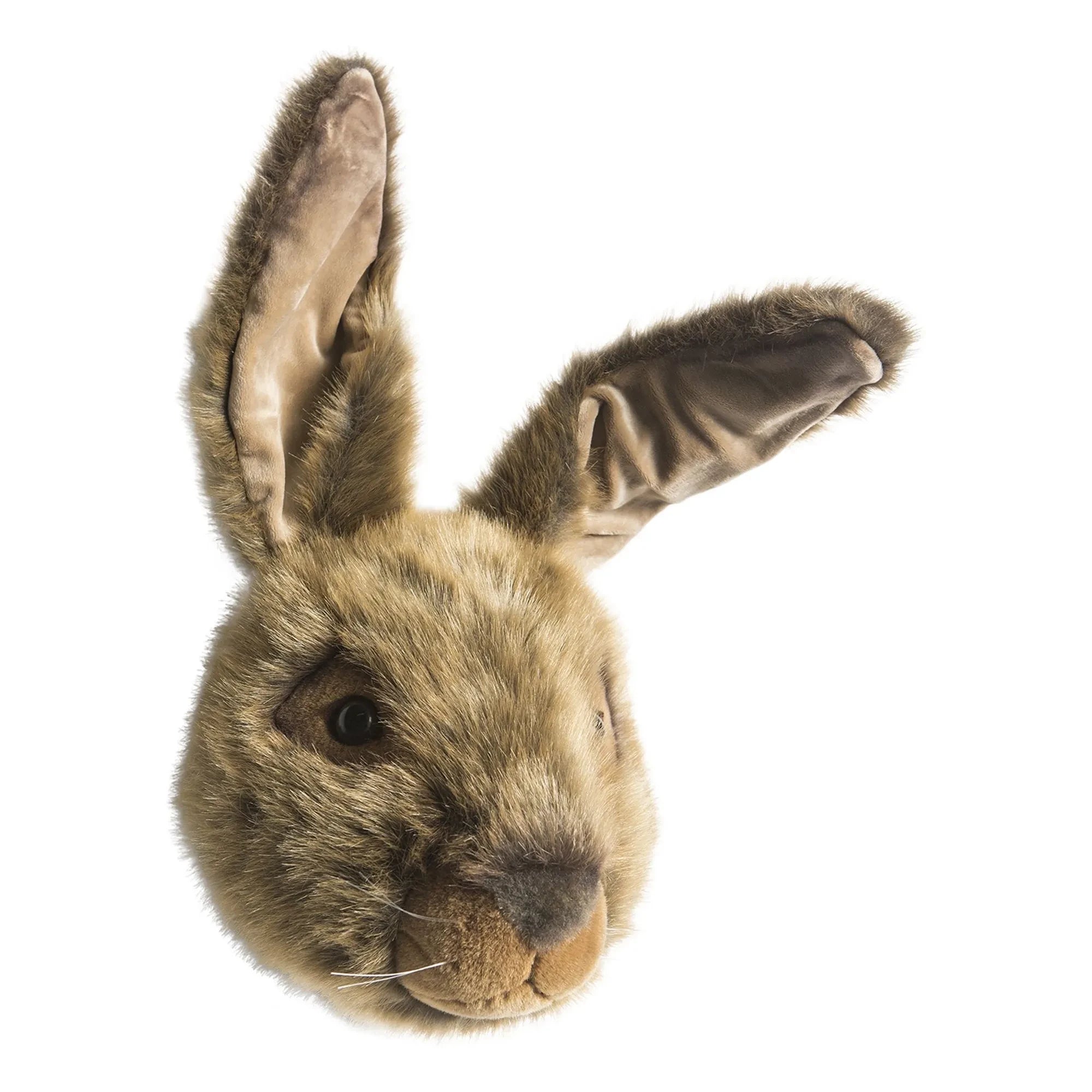 Wild & Soft - Hare Trophy | Kahverengi