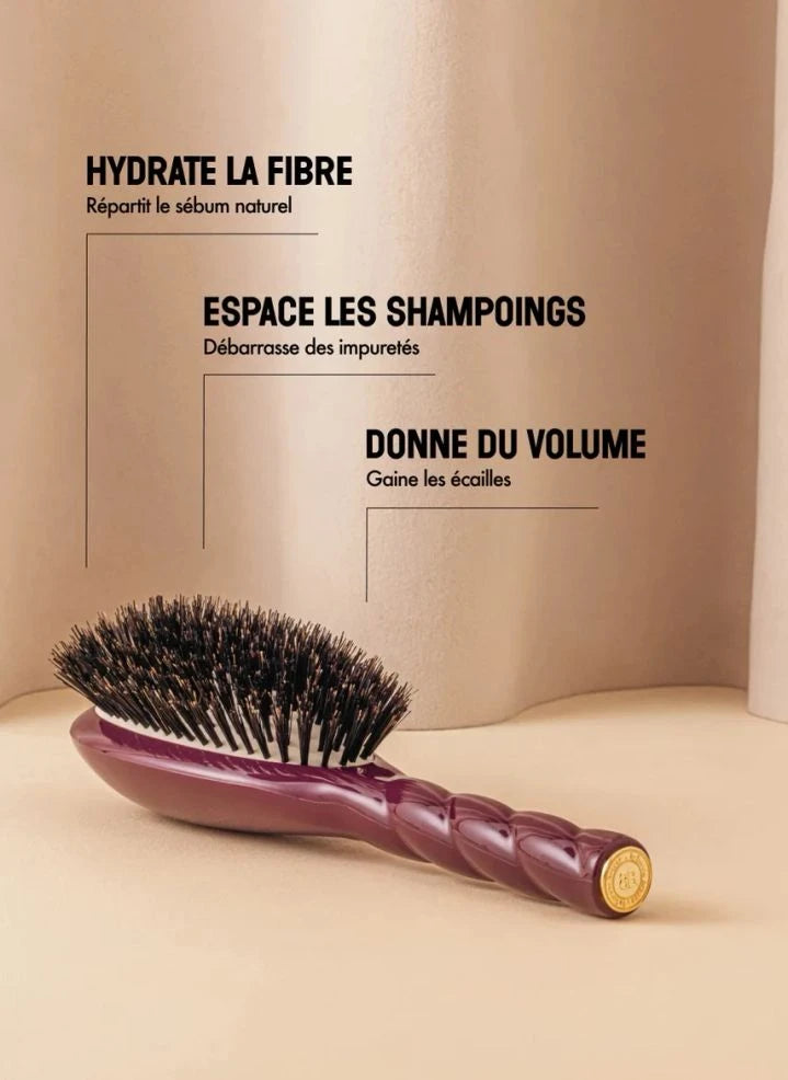 La Bonne Brosse - L'Universelle فرشاة شعر رقم 01 - العناية واللمعان | الباذنجان