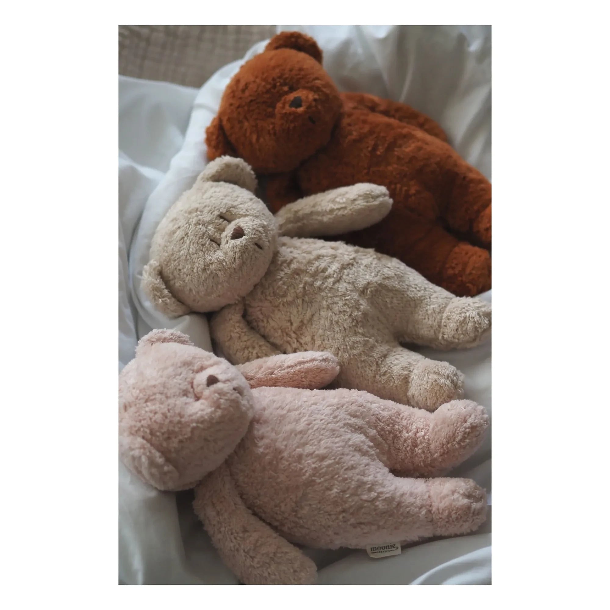 Moonie - Teddy Bear müzikli gece lambası | Blush
