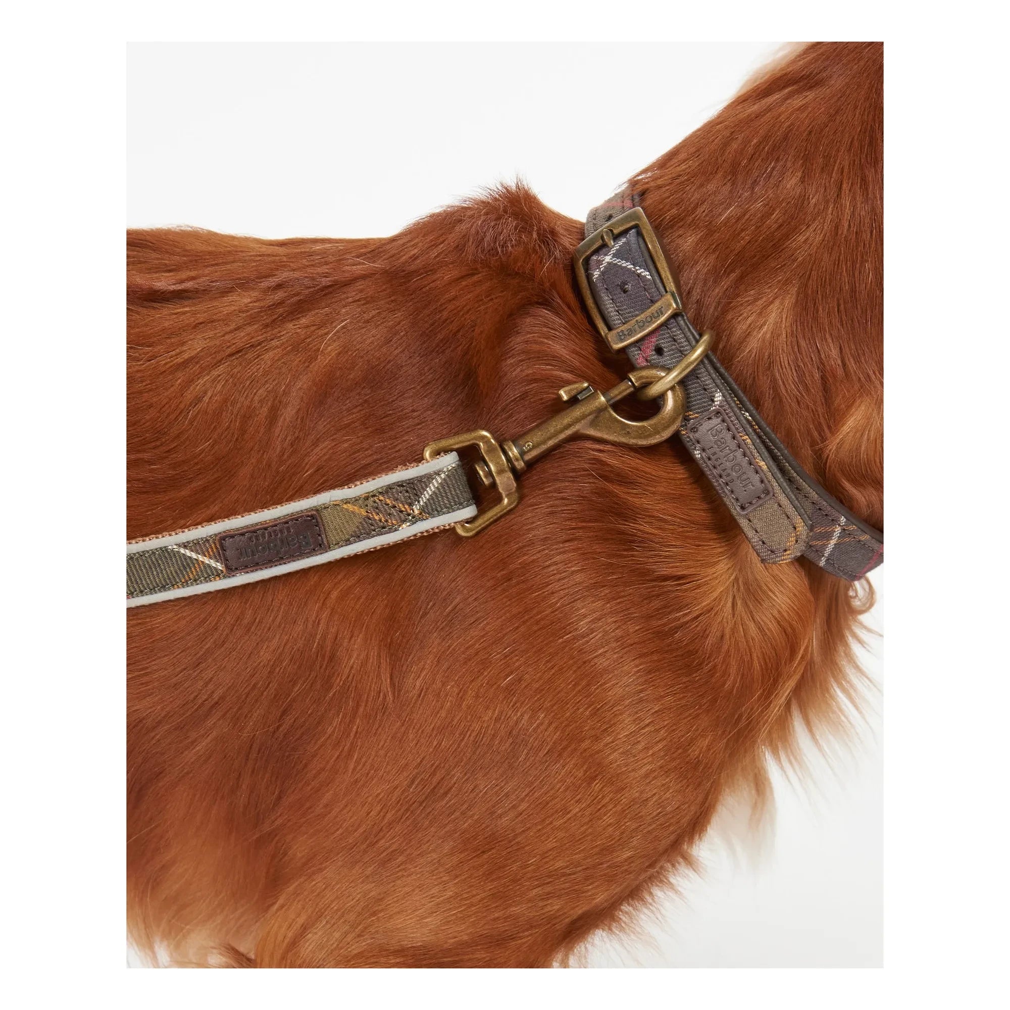 Barbour - Tartan Yansıtıcı Köpek Tasması | Taupe kahverengi