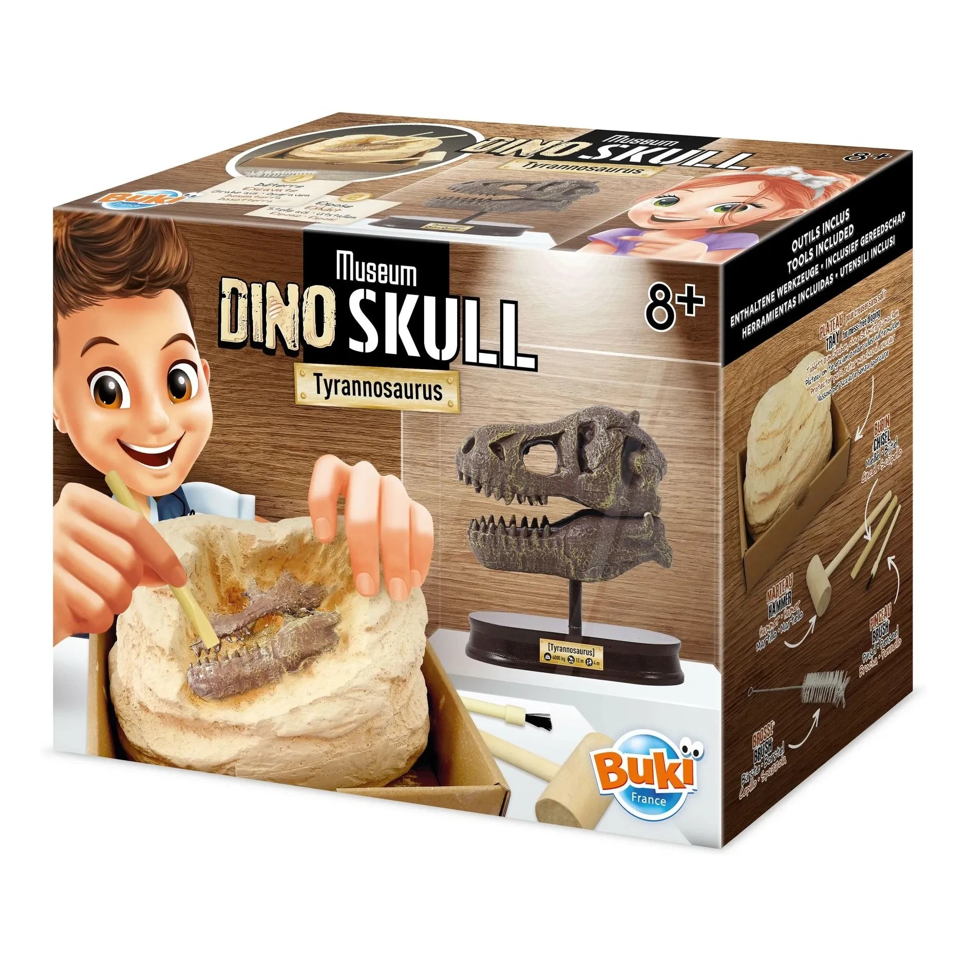 Buki - Arkeoloji seti - Müze Dino Kafatası