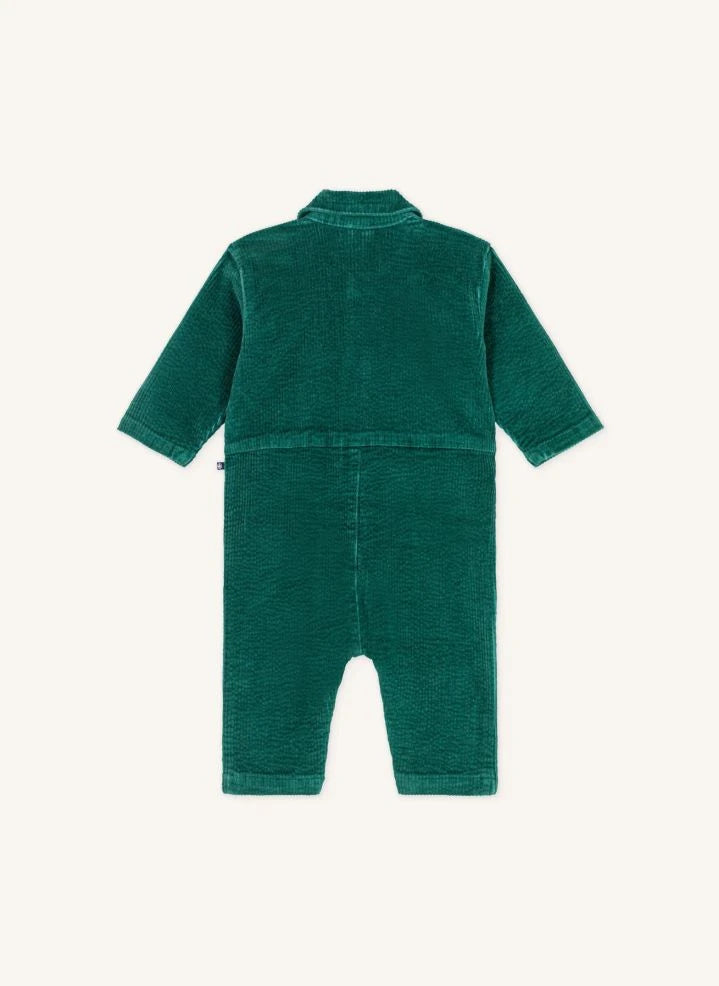 Petit Bateau - Pompist جمبسوت قطني عضوي مضلع | أخضر