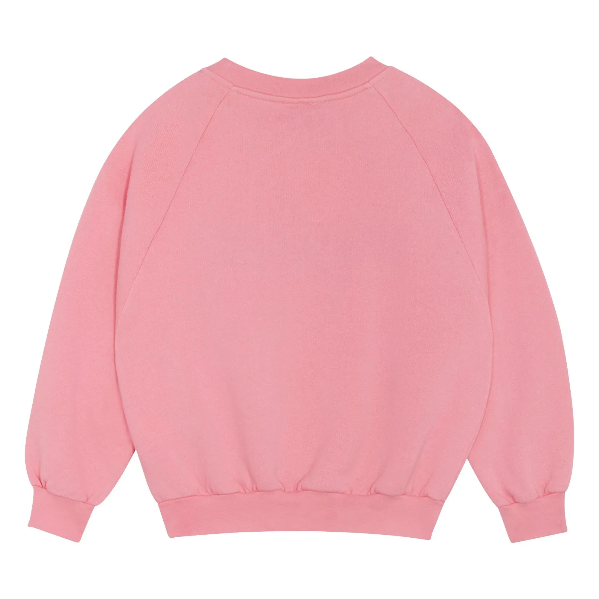 The Campamento - The Campemento sweatshirt | Pembe