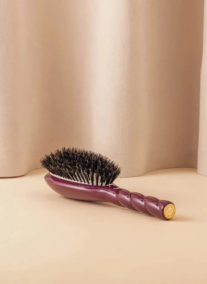 La Bonne Brosse - L'Universelle فرشاة شعر رقم 01 - العناية واللمعان | الباذنجان