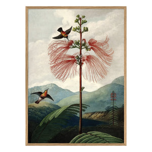 The Dybdahl Co. - Çiçekler Ağacı posteri