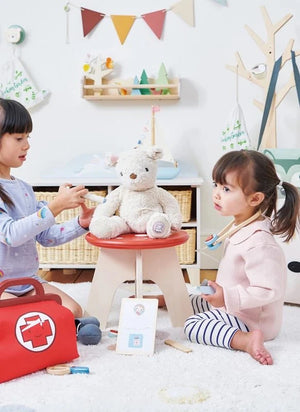 Tender Leaf Toys - Wellness Set
