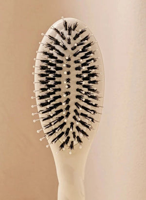 La Bonne Brosse - La Petite Brosse: فرشاة ناعمة أساسية رقم 03 - لفروة الشعر الحساسة | كريم