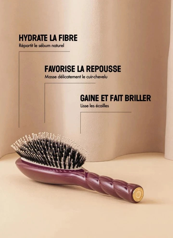 La Bonne Brosse - "L'Indispensable Douceur" فرشاة الشعر رقم 03 - فروة رأس حساسة | باذنجان
