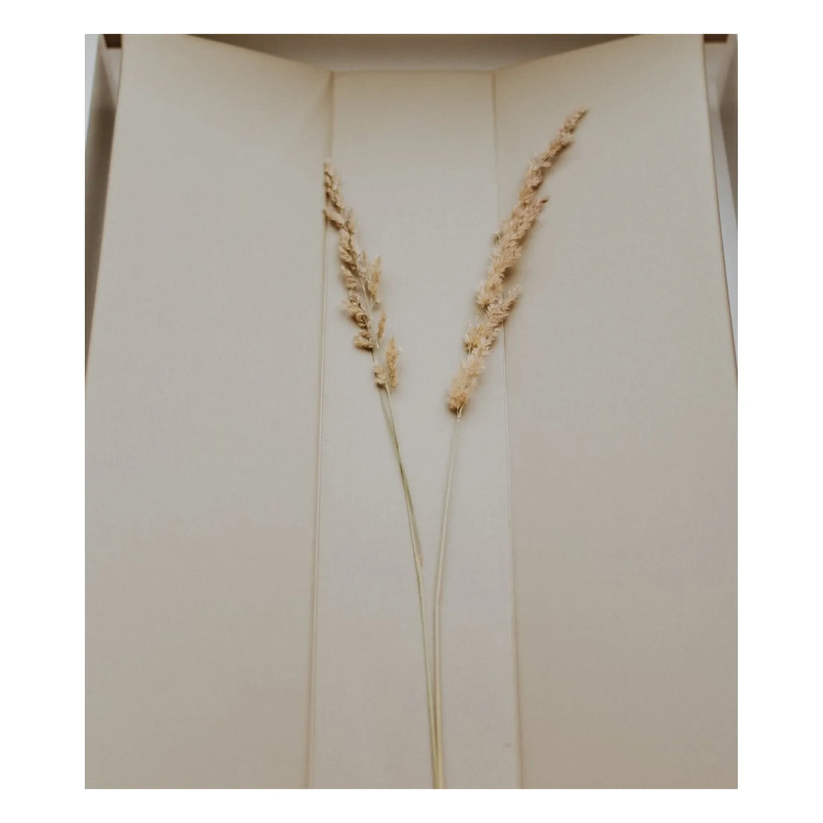 Quax - Alt Değiştirme Matı - 67 x 44 cm | Kil