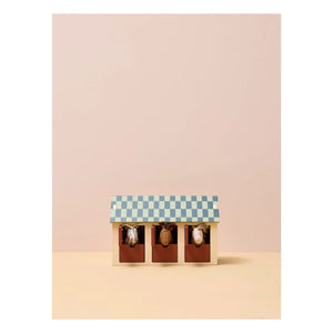 Kid's Concept - Atlarla istikrarlı