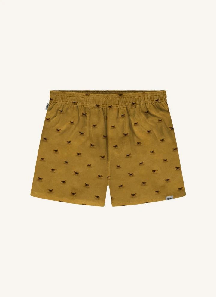 Pockies - 3'lü Boxer Şort Paketi | Çok Renkli