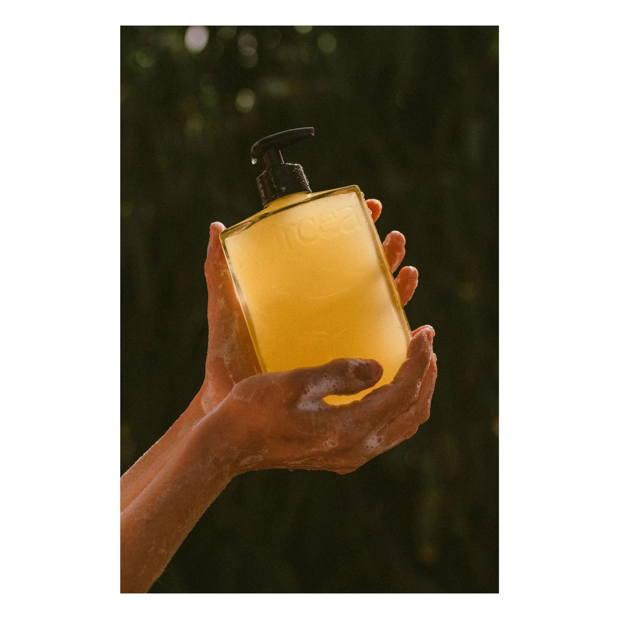 Mircea - Sedir + Biberiye Duş Jeli - 400 ml