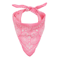 Arsène et Les Pipelettes - Pembe Voile Bandana