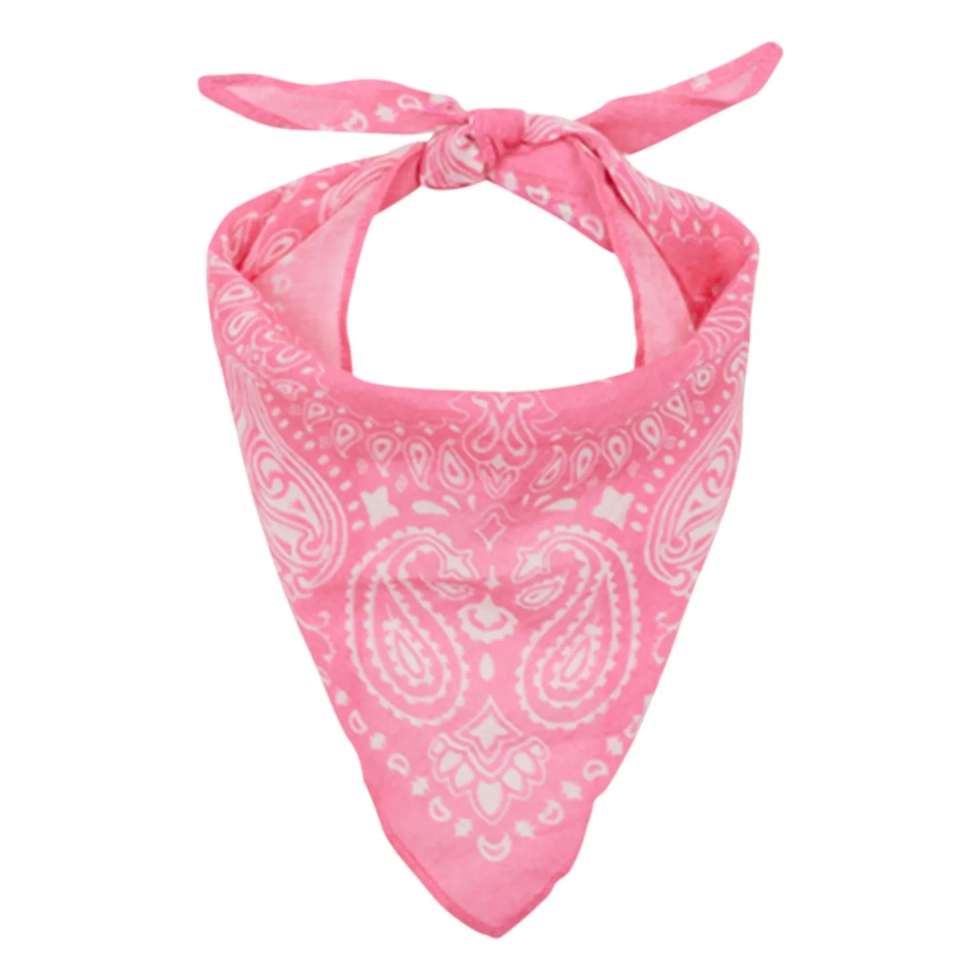 Arsène et Les Pipelettes - Pembe Voile Bandana