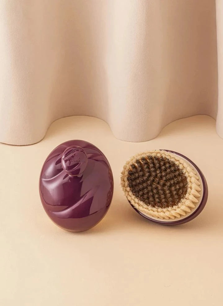 La Bonne Brosse - فرشاة الجسم تالَم رقم 01 - للبشرة الحساسة | الباذنجاني
