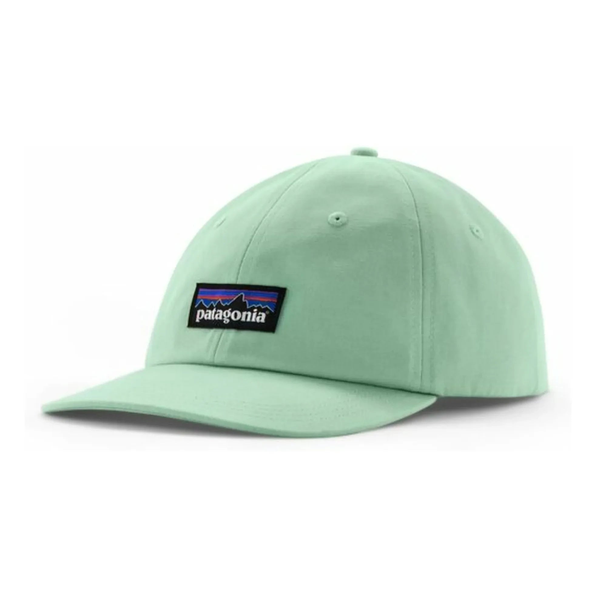 Patagonia - P-6 Label Trad Cap Organik Pamuk | Seladon