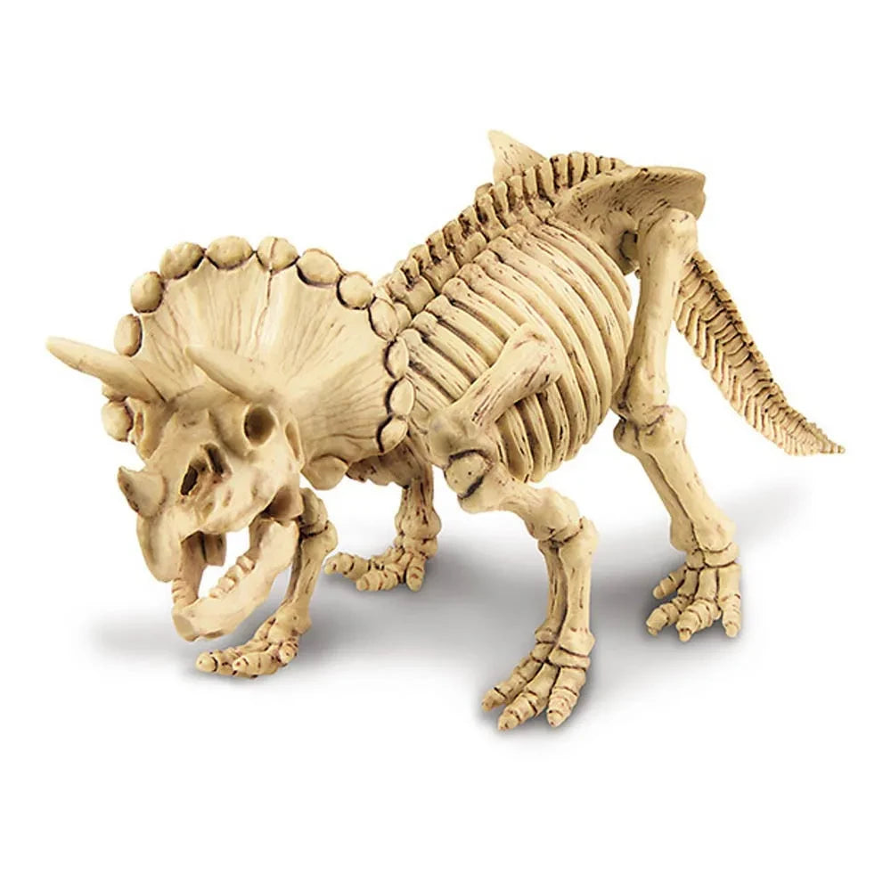 4M - Triceratops Kazı Kiti