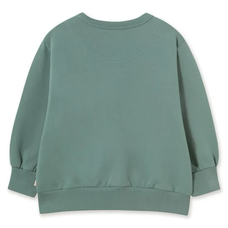 Tinycottons - Organik Pamuklu Köpek Sweatshirt | Yeşil su