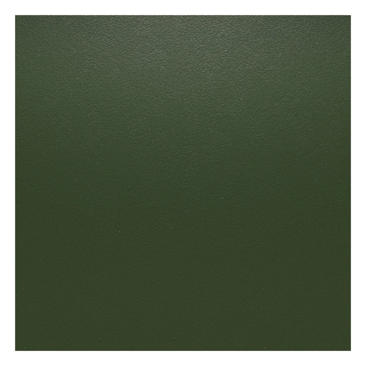 Vitra - DSW plastik sandalye - akçaağaç taban - Charles & Ray Eames | Forêt