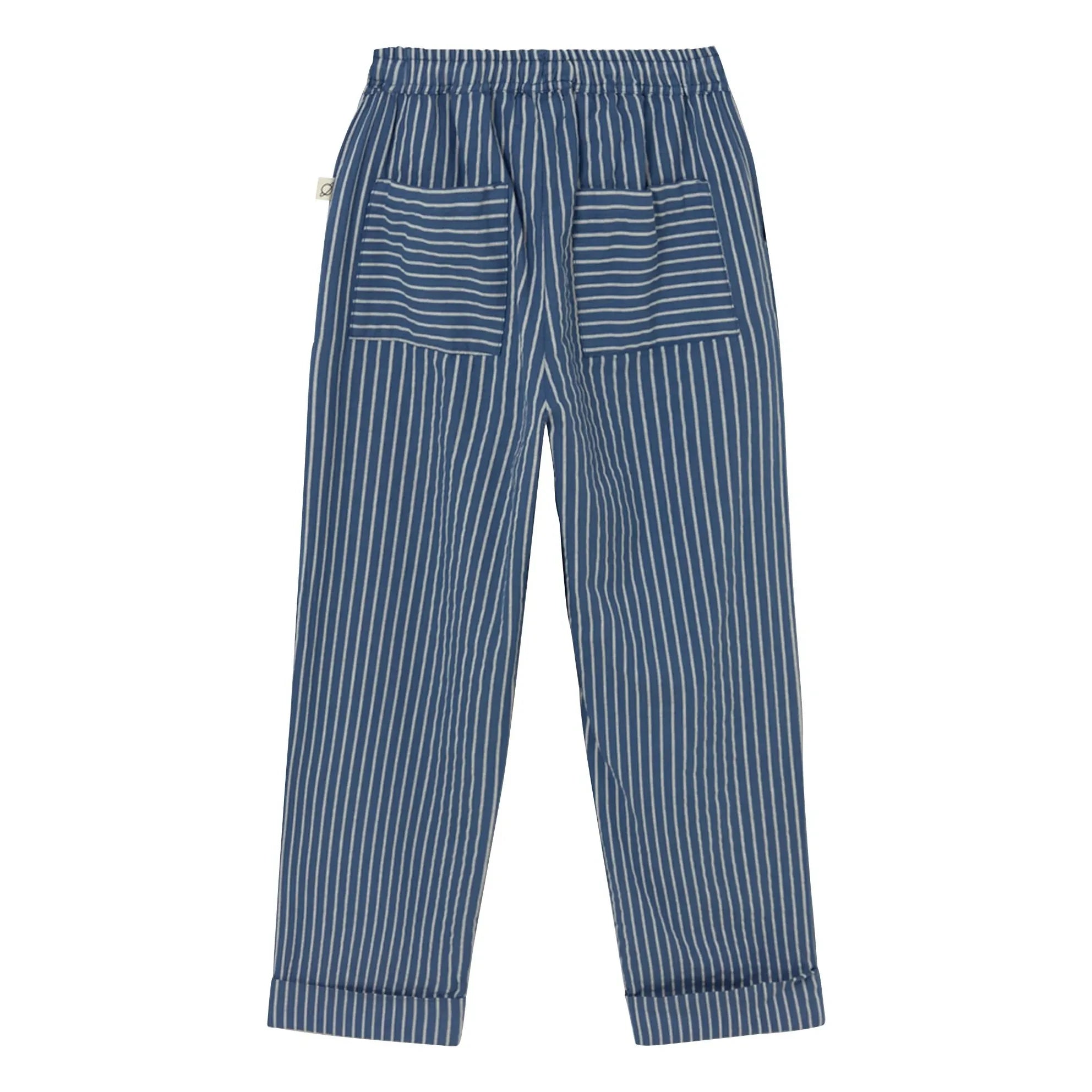 Cozmo - Çizgili Aero Pantolon | Lacivert
