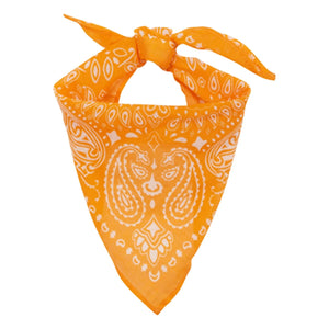 Arsène et Les Pipelettes - Turuncu Voile Bandana