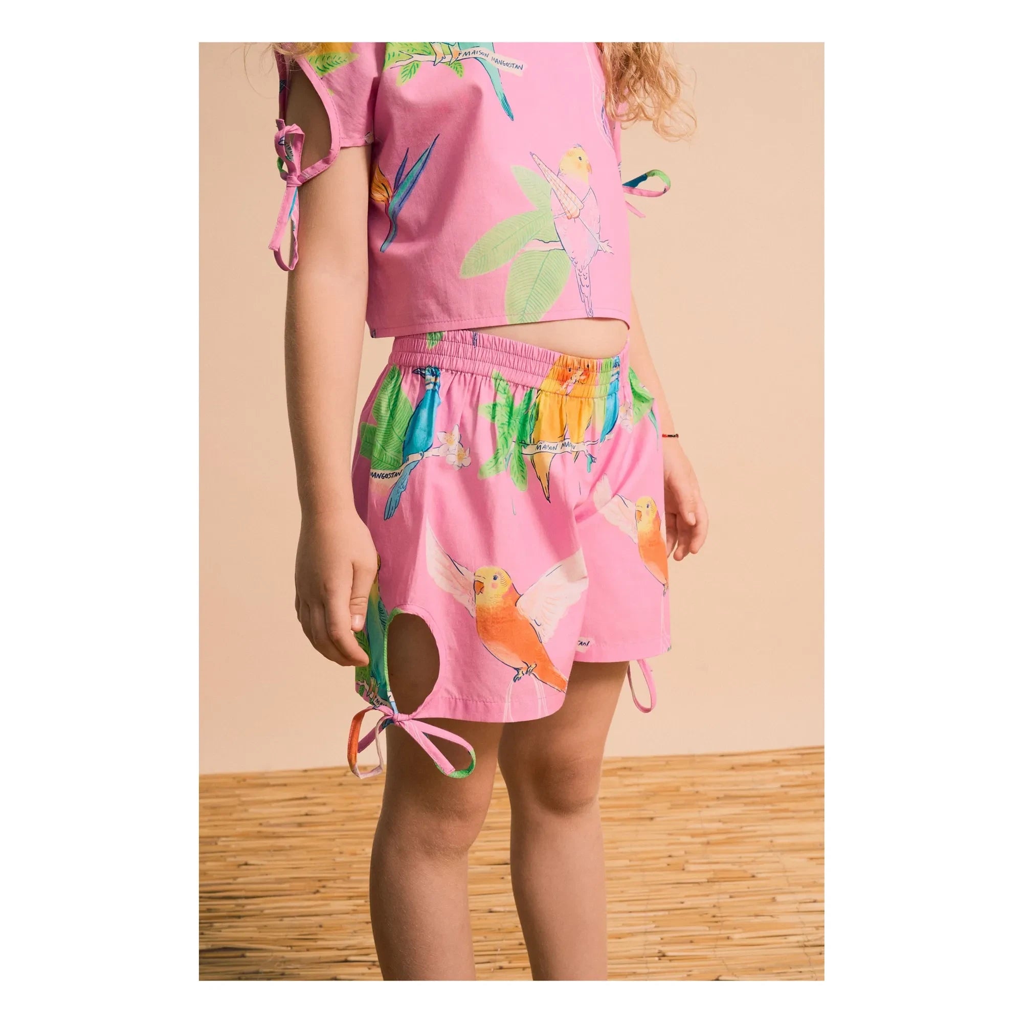 Maison Mangostan - Top Birds | Pembe