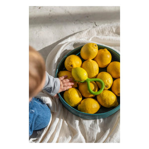 Oli & Carol - Limon çıngırak