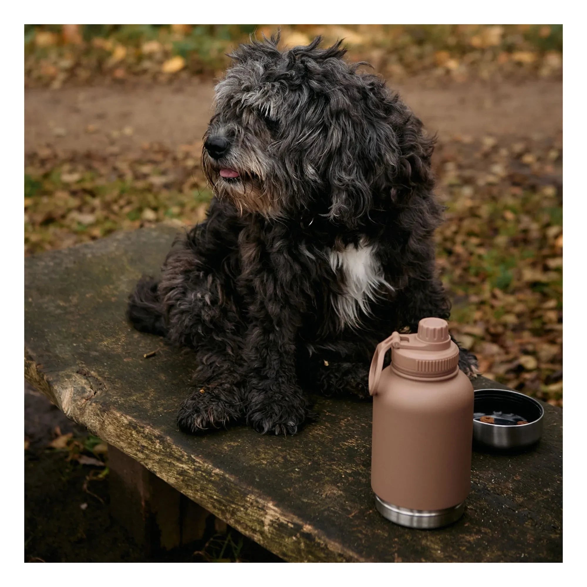Haps Nordic - Haps Go köpek şişesi - 900 ml | Kahverengi