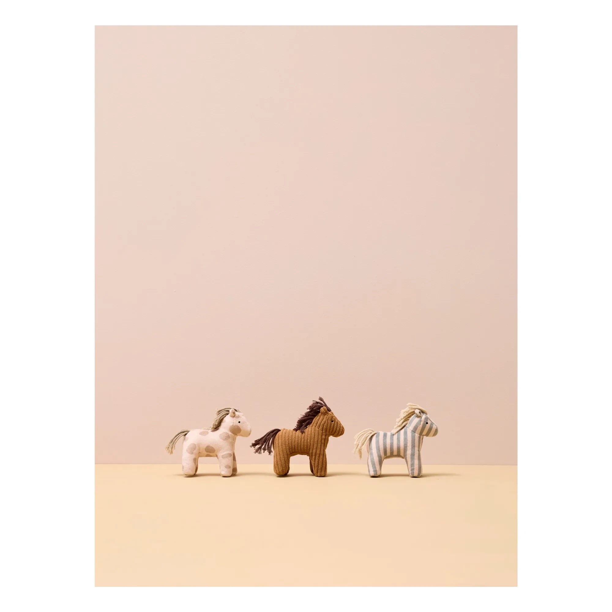 Kid's Concept - Atlarla istikrarlı