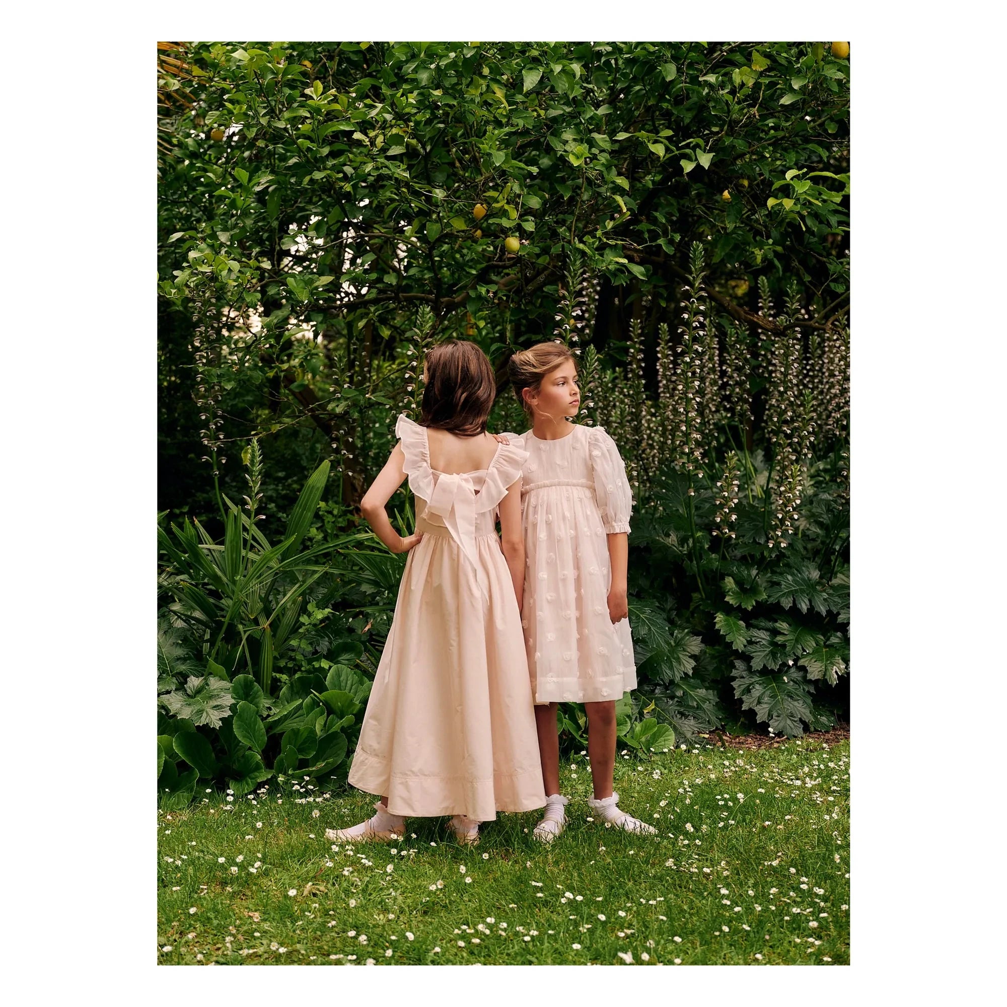 petite Amalie - Roses Organze Elbise | Lychee Pembe